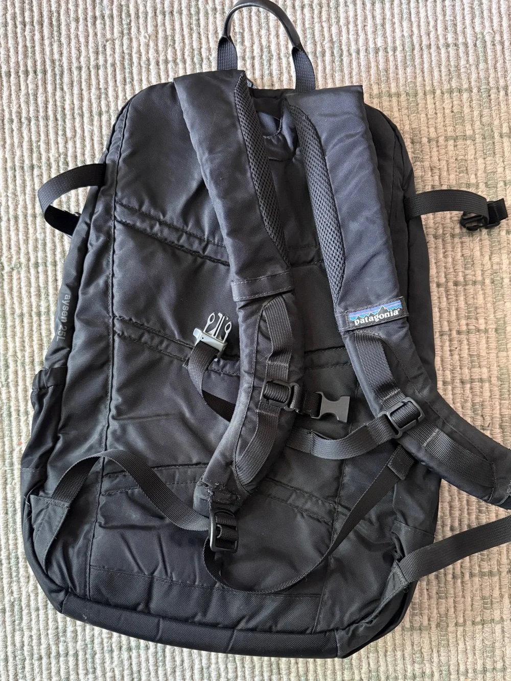 Patagonia 25L Backpack